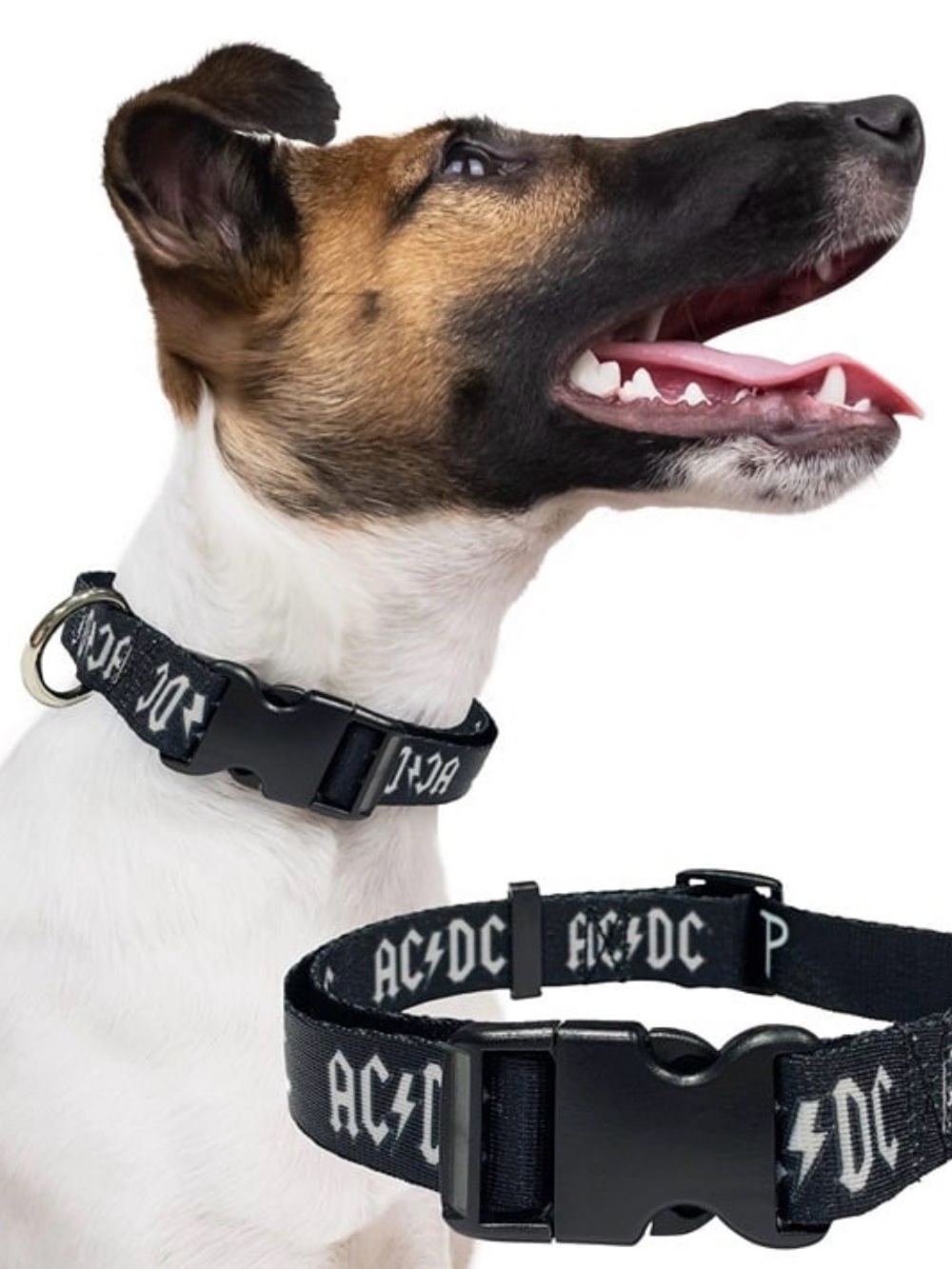AC/DC Dog Collar
